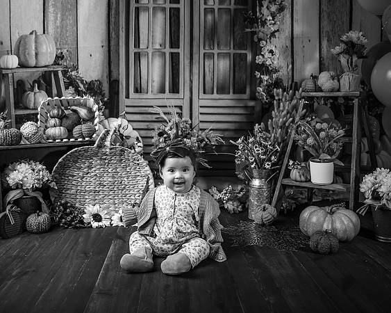 ZII_3674