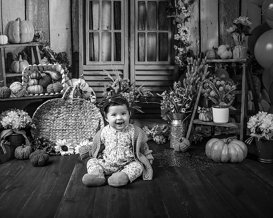 ZII_3718