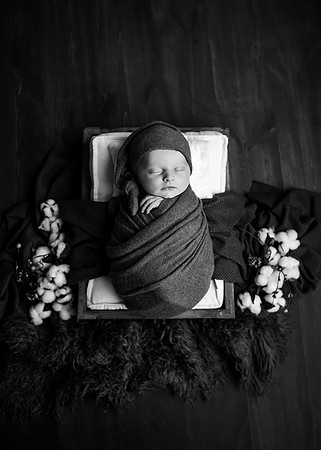 ZII_8269-Edit