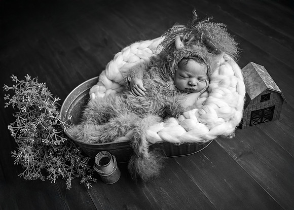 Z72_6239-Edit