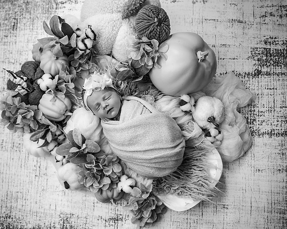 ZII_7683-Edit