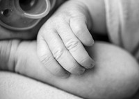 Z72_6135