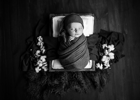 ZII_8282-Edit