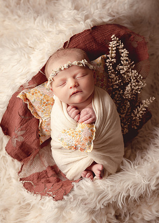 ZII_3532-Edit
