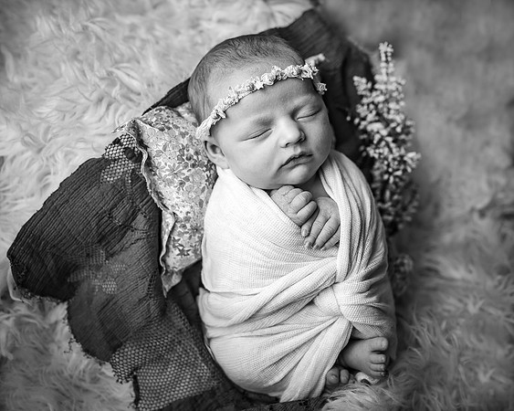 ZII_3543-Edit