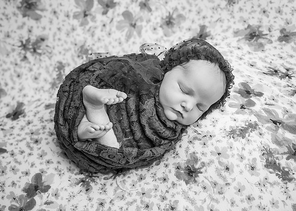 _ZII2835-Edit