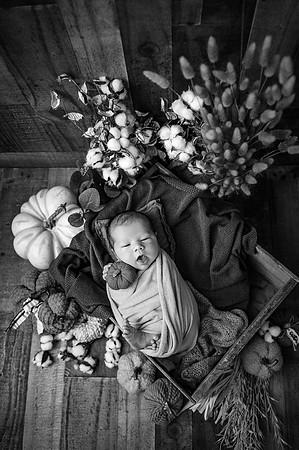 ZII_2315-Edit