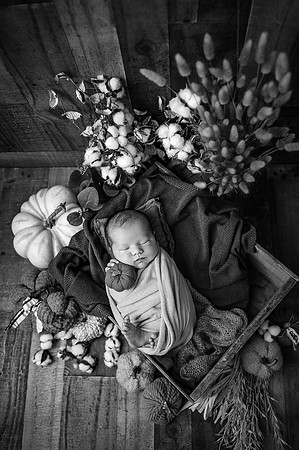 ZII_2318-Edit
