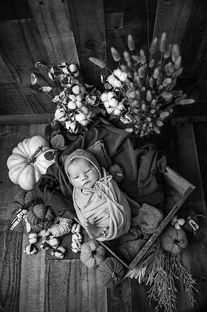 ZII_2325-Edit