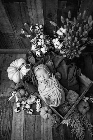 ZII_2337-Edit