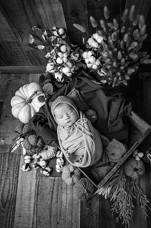 ZII_2340-Edit