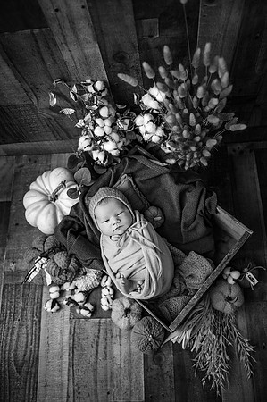 ZII_2346-Edit