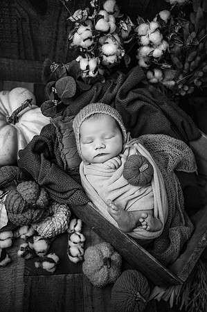 ZII_2369-Edit