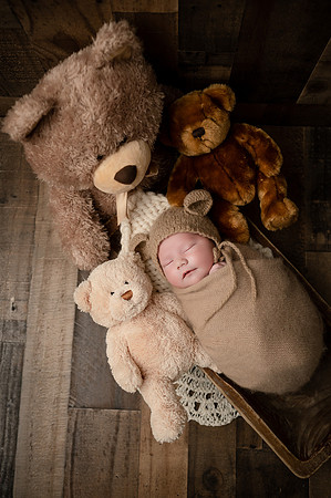 ZII_2408-Edit