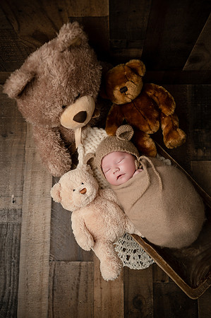 ZII_2416-Edit