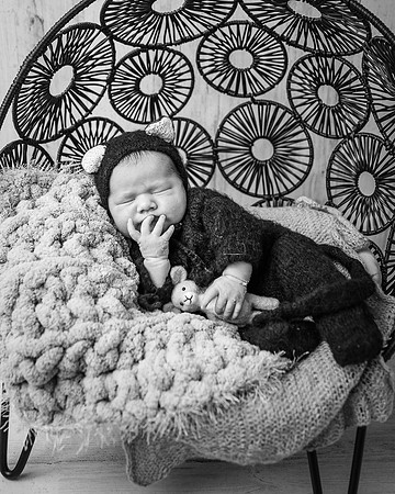 ZII_2461