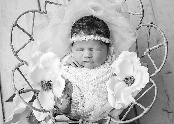 ZII_3371-Edit
