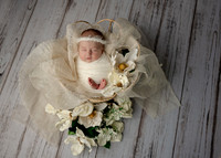 Z72_5238-Edit