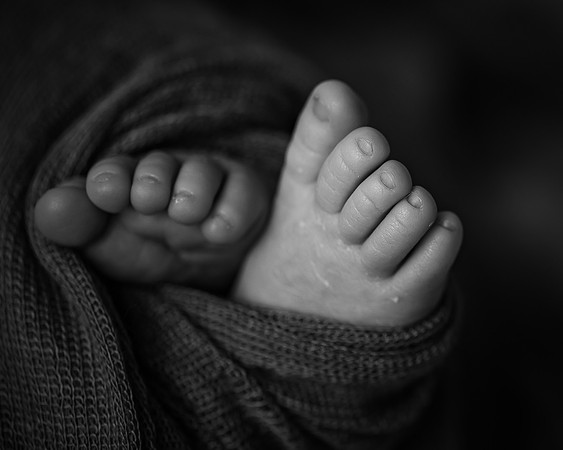 DSC_4986