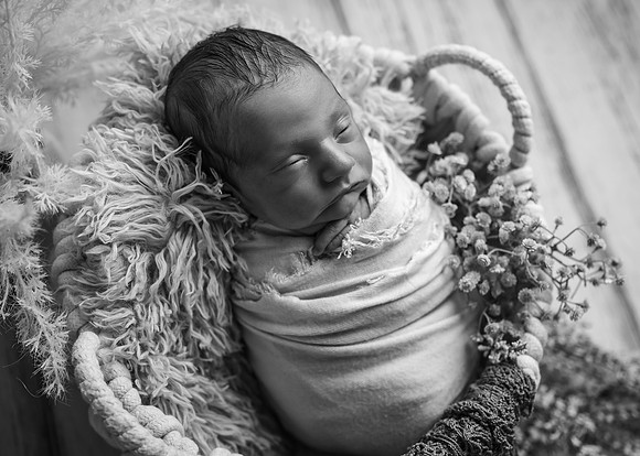 Z72_9063-Edit