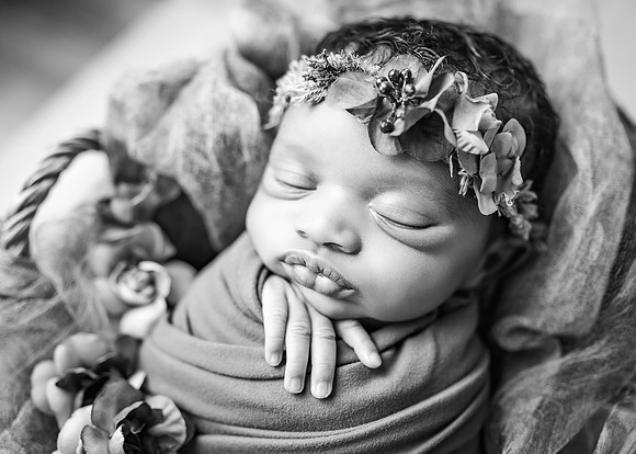 ZII_1582-Edit