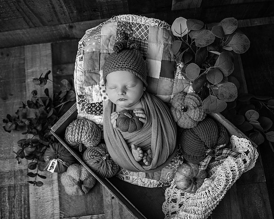 ZII_9301-Edit