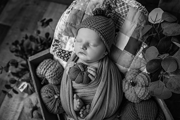 ZII_9308-Edit