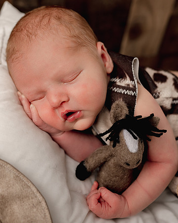 ZII_9350-Edit