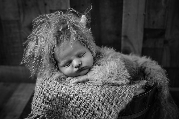 ZII_9437-Edit