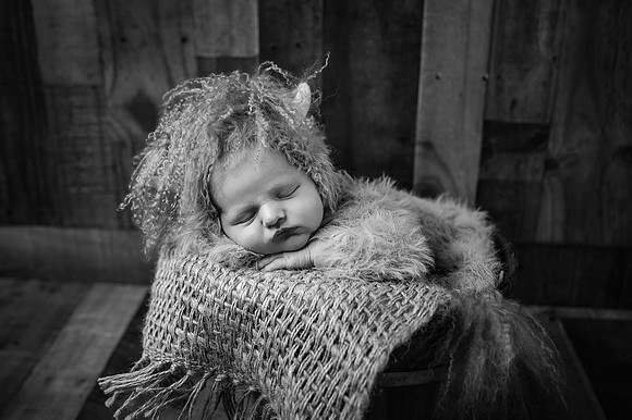 ZII_9446-Edit