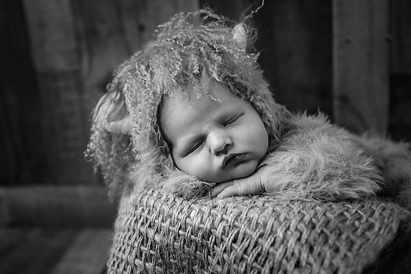 ZII_9461-Edit