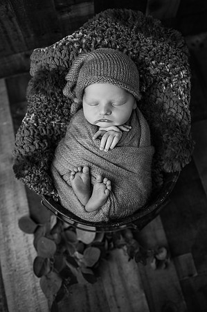 ZII_9493-Edit