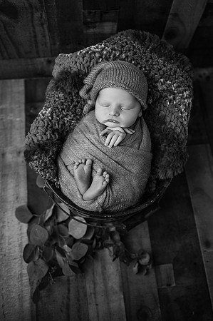 ZII_9496-Edit