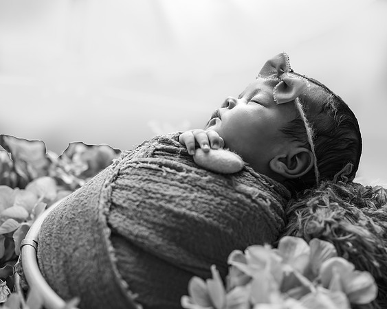 Z72_5394-Edit