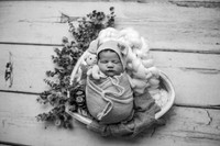 ZII_3335-Edit