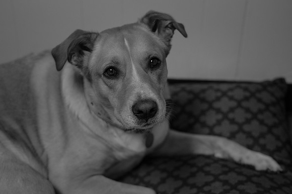 DSC_4492