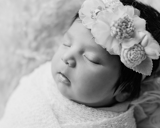 DSC_9465-Edit