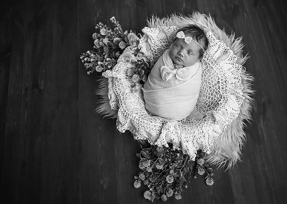 Z62_9647-Edit