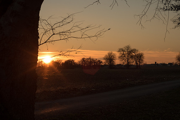 DSC_0989