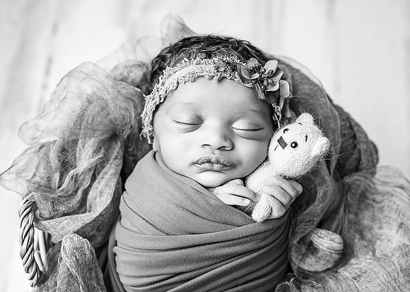 ZII_1590-Edit