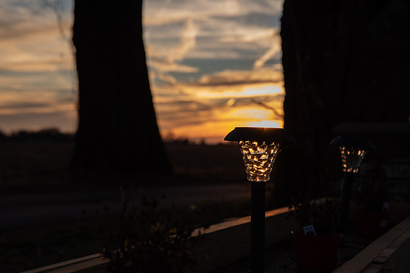 DSC_1301