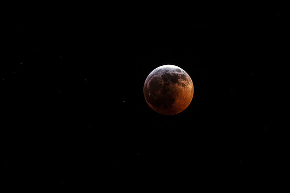 DSC_3187