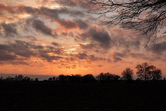 DSC_1350