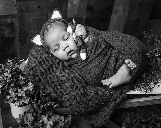 ZII_4151-Edit
