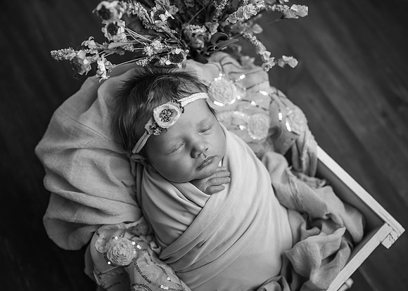 Z62_9676-Edit