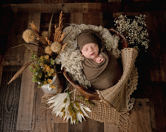 ZII_8294-Edit