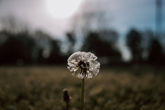 _6007546