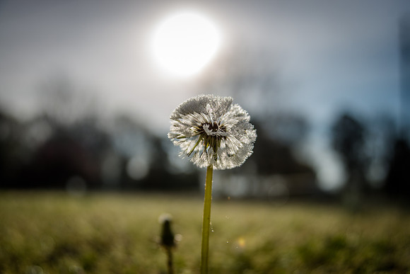 _6007553