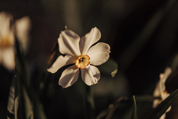 _7508330