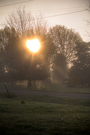_7508724